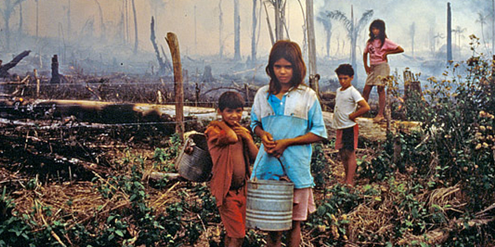 η παράνομη παιδική εργασία κυριαρχεί στις φυτείες φοινικέλαιου
